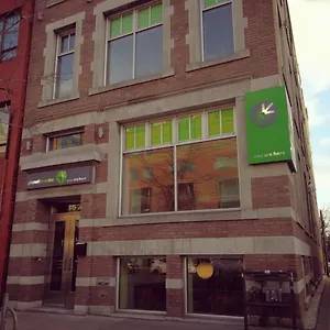 Auberge de jeunesse Planet Traveler, Toronto